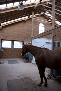 inside barn